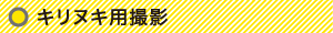 キリヌキ用撮影